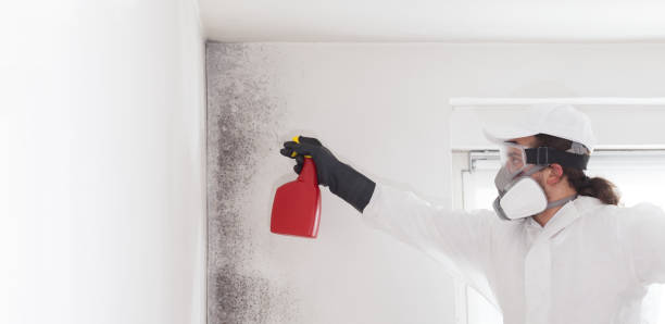 Water Damage Restoration in Red Bank, SC